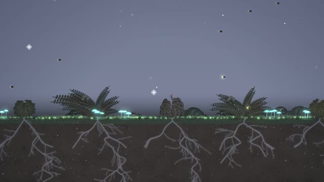 A jar at night, lit by fireflies and glowing mushrooms